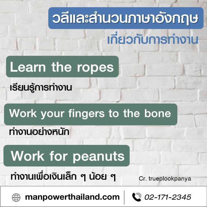 วลีและสำนวนภาษาอังกฤษเกี่ยวกับการทำงาน | Manpower Thailand